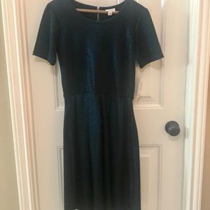 NWT Elegant LuLa Roe Amelia Dress, shimmery teal